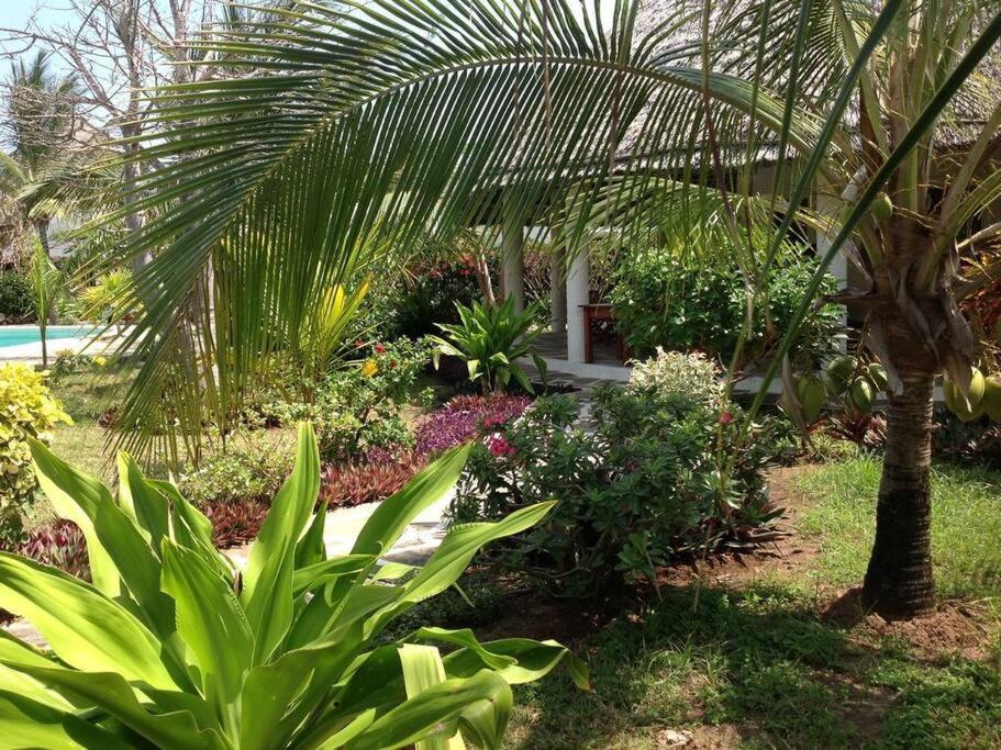Ferienwohnung Luxury Simba House In Watamu ☆☆☆☆☆ Exterior foto